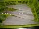 frozen p cod fillets