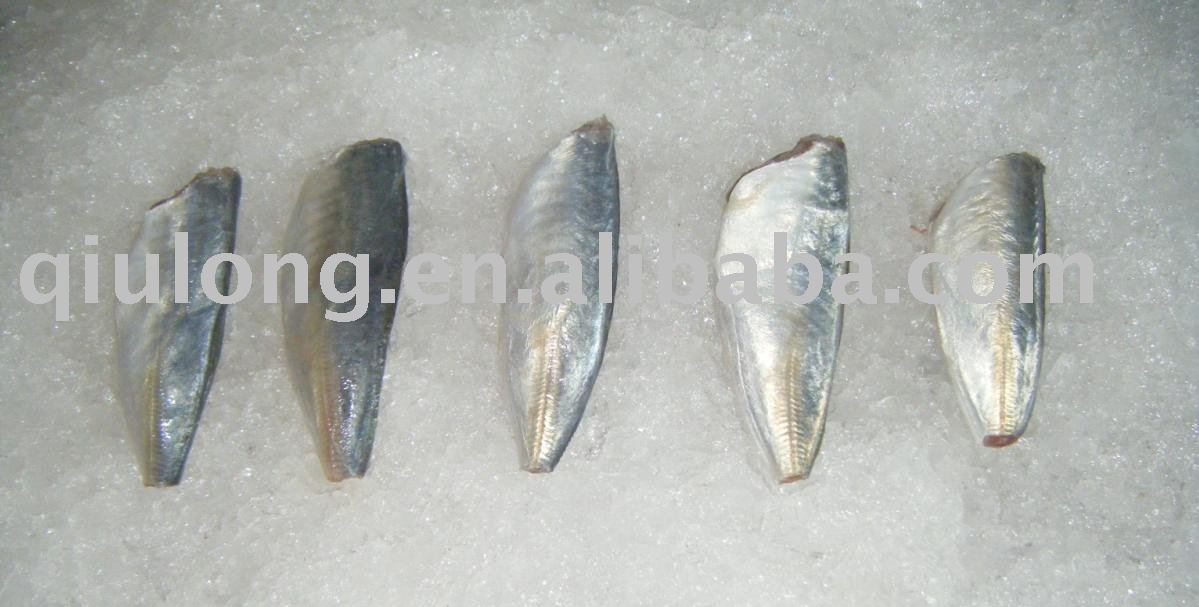  new  horse mackerel hgt