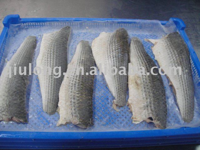 frozen fish ( mullet fish fillet)