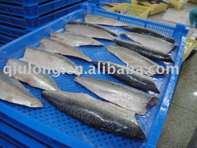  frozen   mullet   fish  fillet