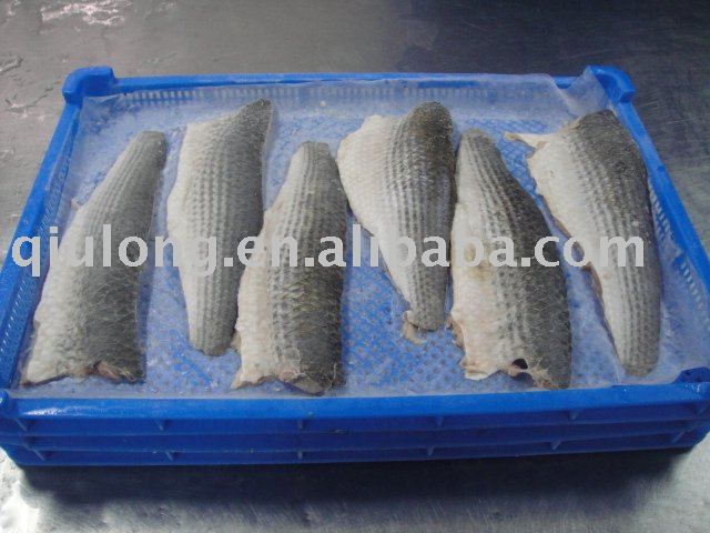 frozen seafood ( mullet fish fillet)