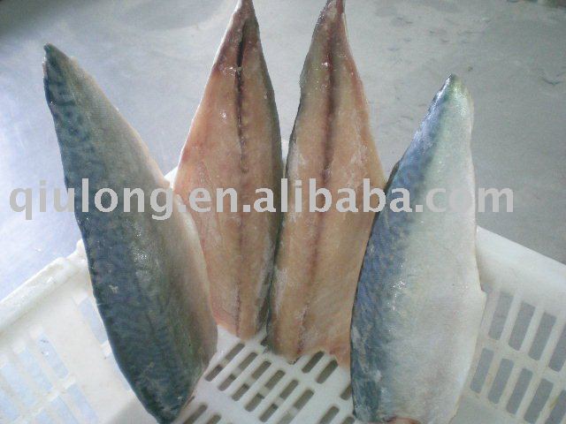 frozen fish fillets(  mackerel  fillets)