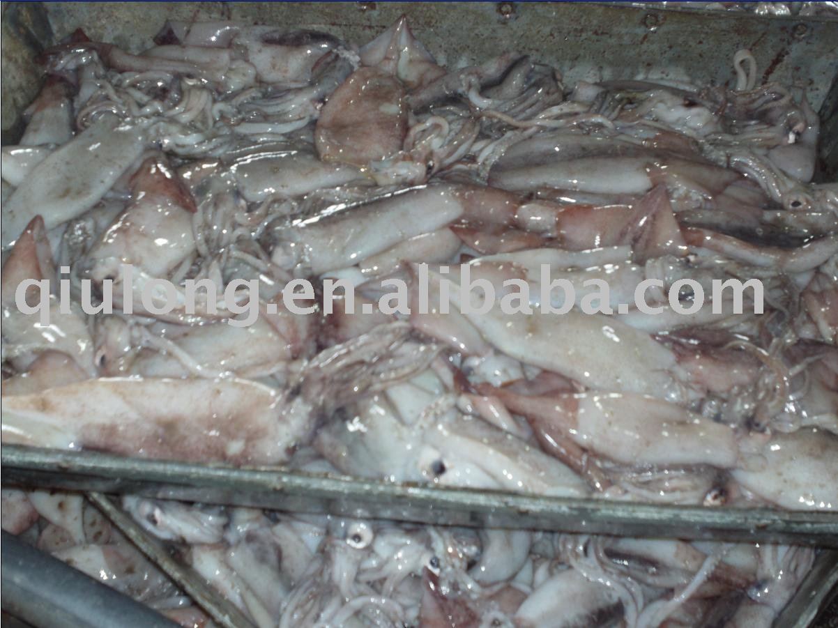 seafood (squid)