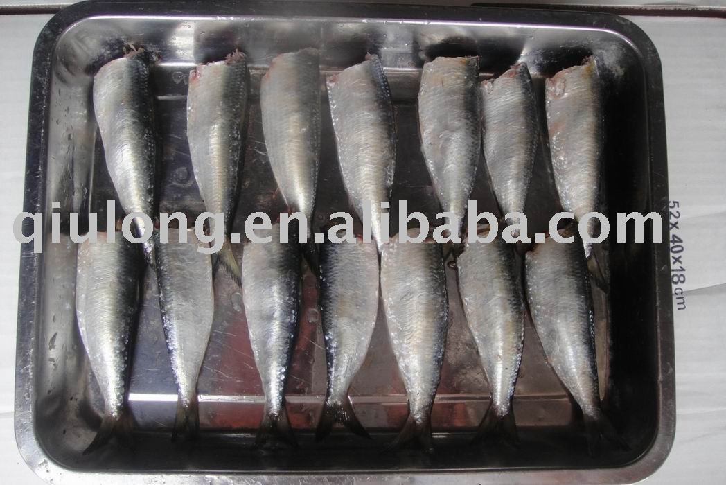 new sardine HG,China QIULONG price supplier - 21food