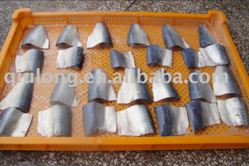 frozen new mackerel fillets