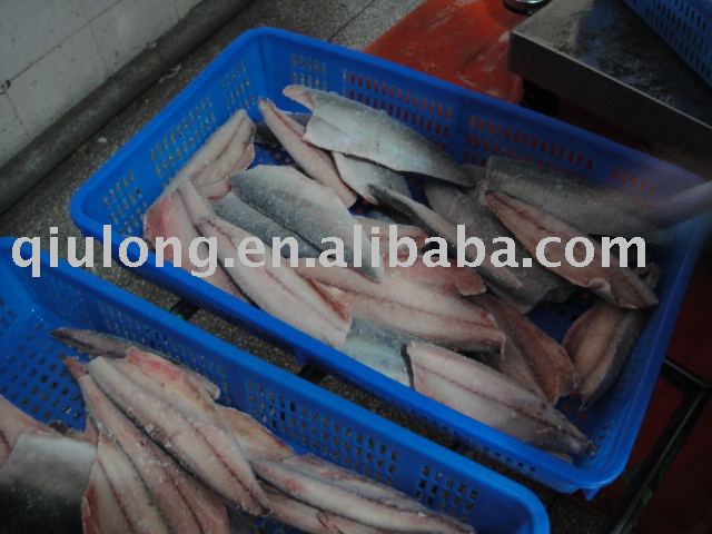  frozen    atlantic   mackerel  fillets