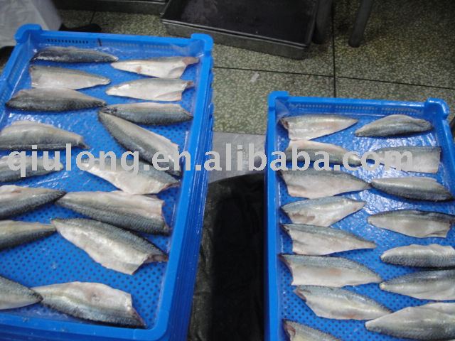 frozen saba  mackerel fillets