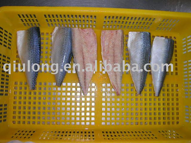 frozen  chub mackerel fillets