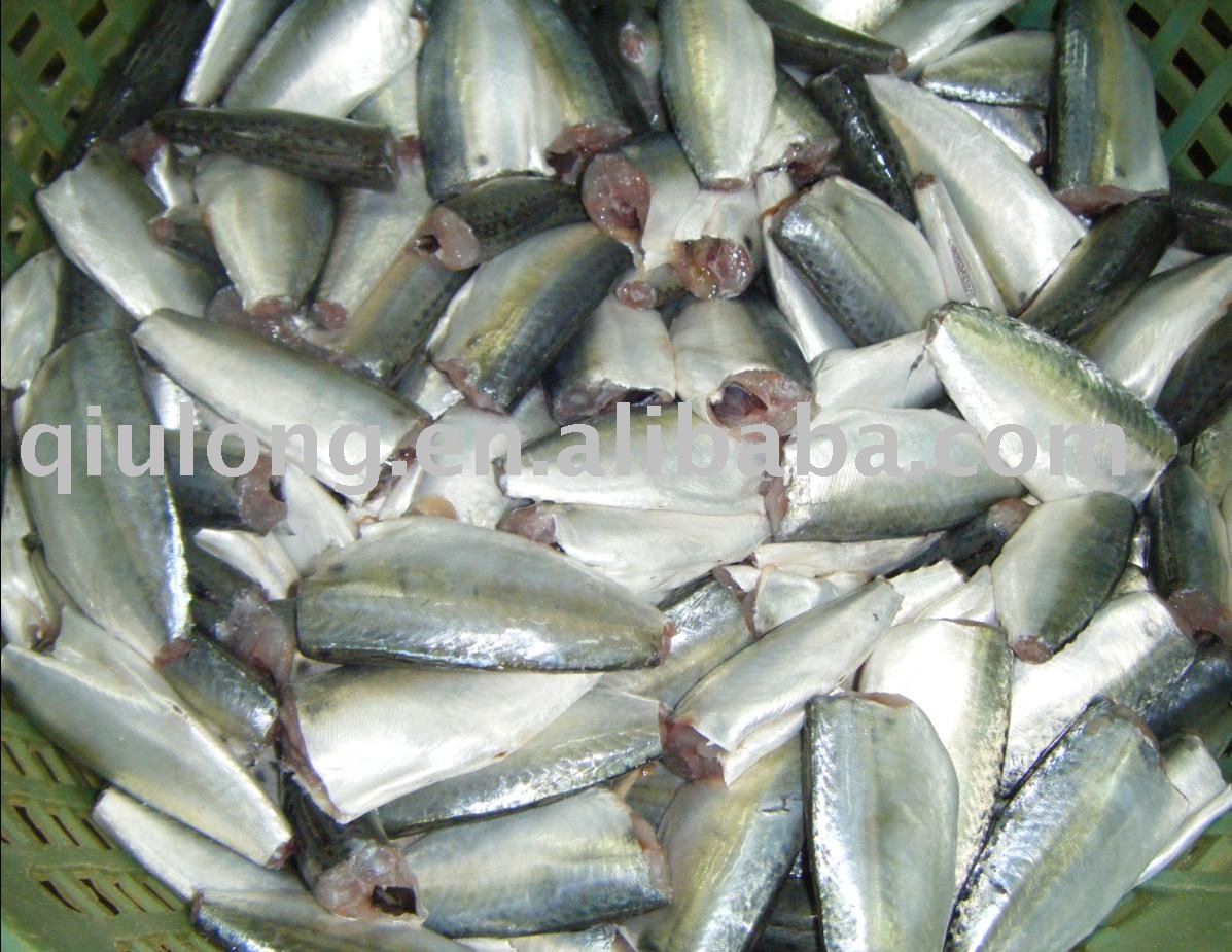 frozen fish ( sardine hgt),China QIULONG price supplier - 21food