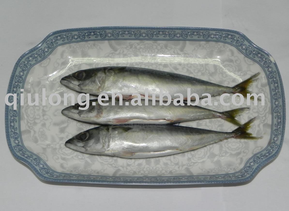 seafood (mackerel gutted)