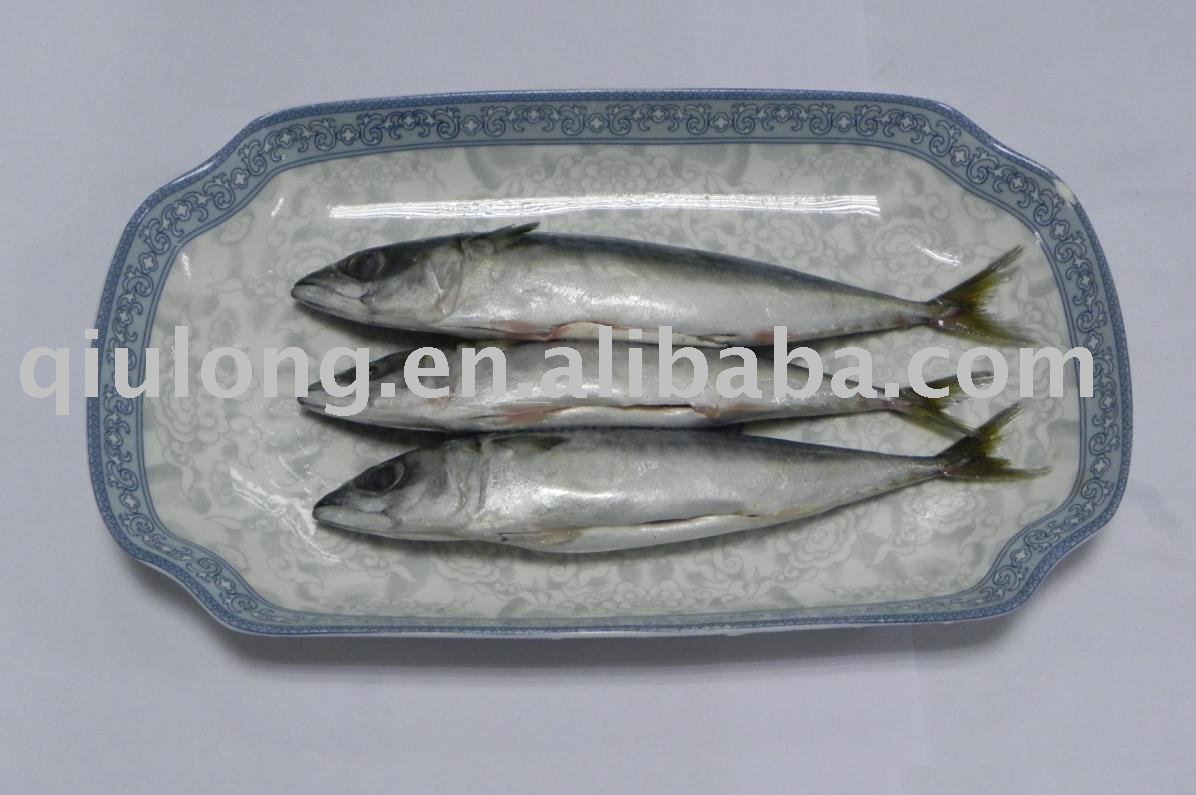 frozen seafood (  mackerel   gutted )