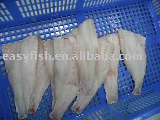  Frozen   red   fish  fillet