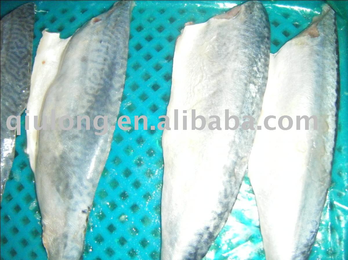 frozen fish  (mackerel  fillets)