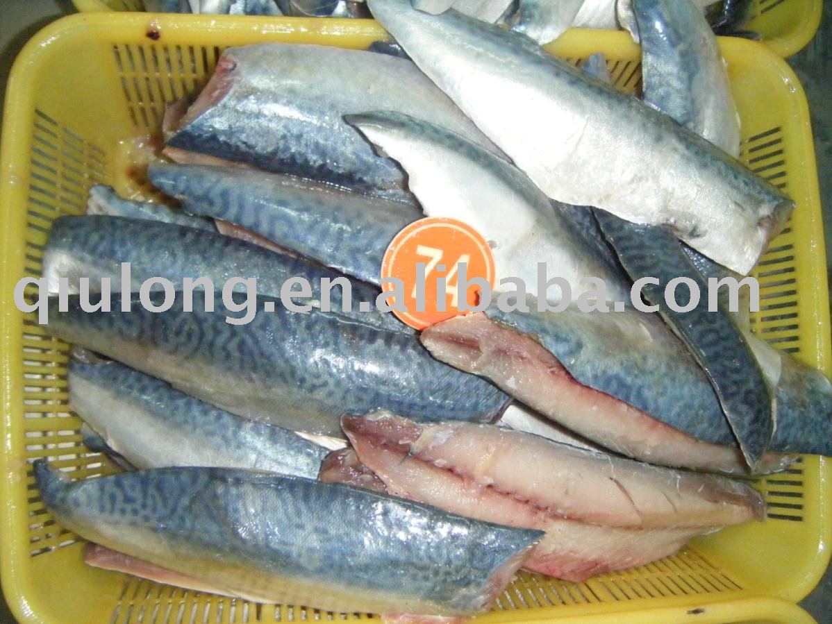 fish  (mackerel  fillets)
