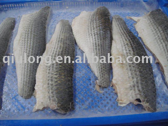 frozen fish   (mullet fish fillets)