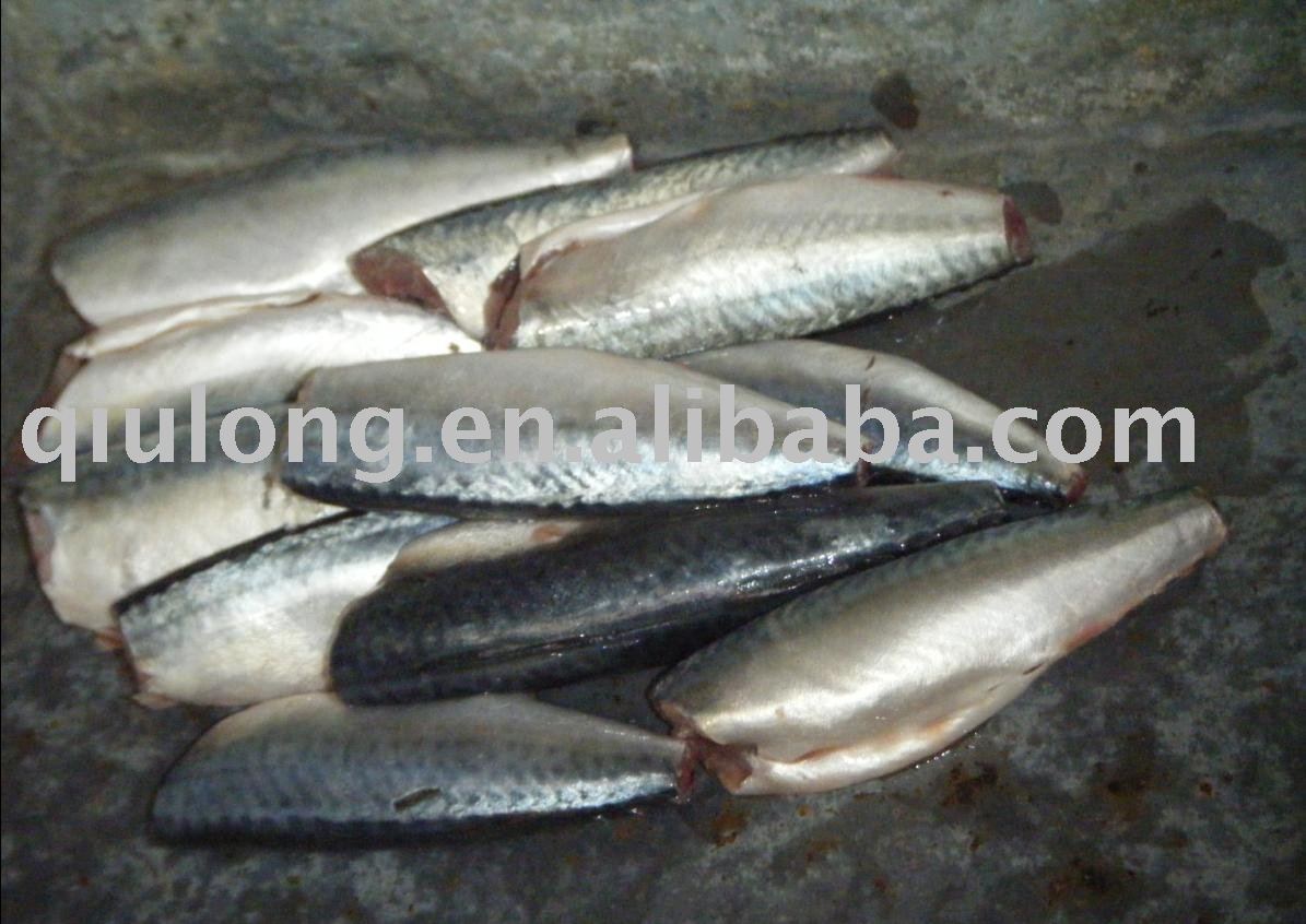 frozen seafood( mackerel  HGT new coming)