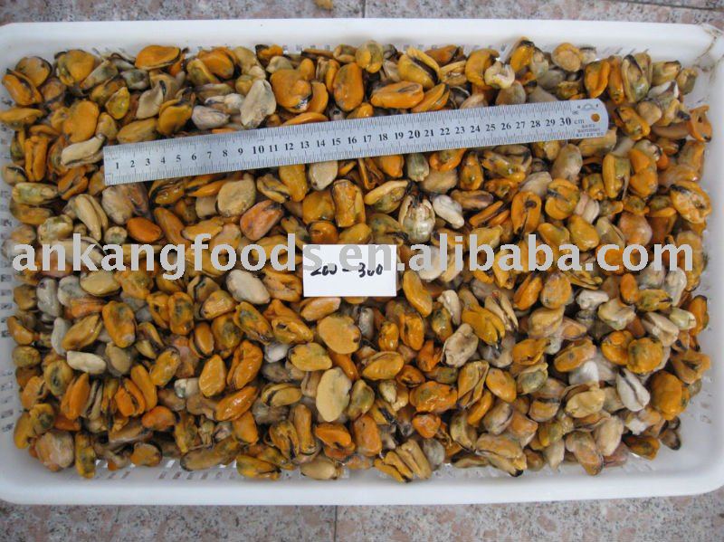 frozen  mussel meat
