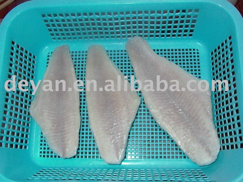  FROZEN   CHANNEL    CATFISH 