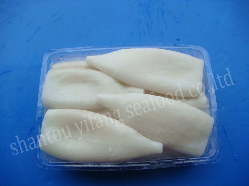 Frozen Squid Meat