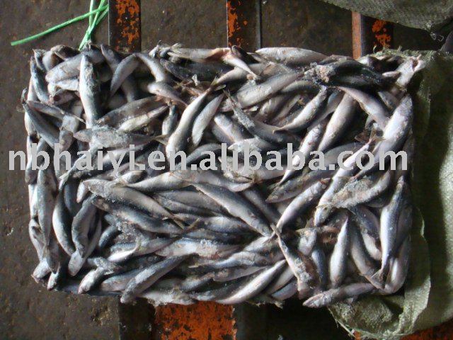 seafood (mackerel frozen 60-80G)