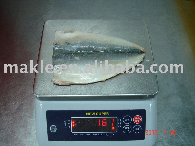 Frozen scomber japonicus mackerel fillets