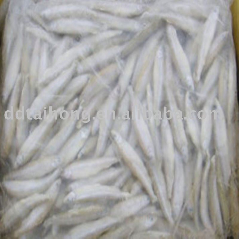  Frozen  pond  smelt 