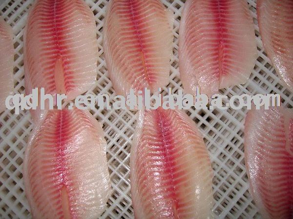 Frozen Tilapia Fillet