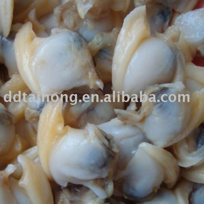 Frozen boiled short necked clam meat cooked food