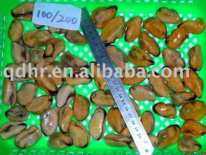 Cooked Mussel Meat