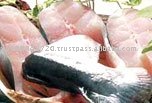 Frozen pangasius steak , frozen pangasius