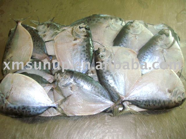 Frozen Moon Fish