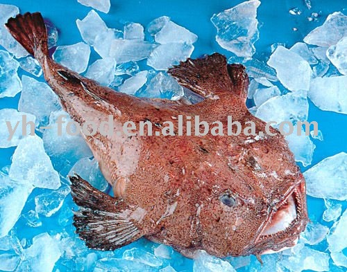 wholesale frozen seafoods and fish