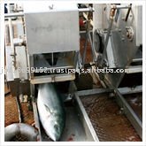 processed fresh fish stripedjack seafood