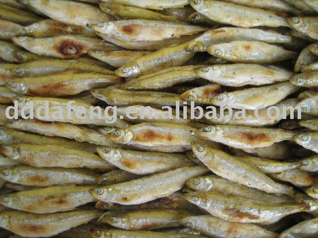  frozen  Roastsed pond  smelt 