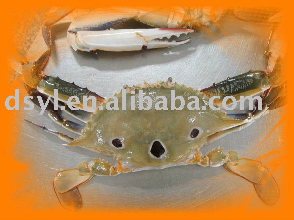Frozen King Crab(Portunus Sanguinolentus)