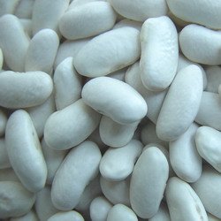middle  white Kidney Beans200-220/100g