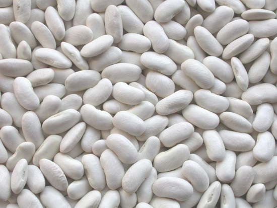  Middle   white   Kidney   Bean s