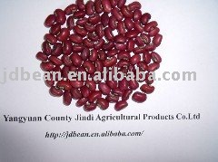 HPS Red cowpea beans(GF4)