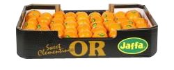 Or easy peeler ORANGE