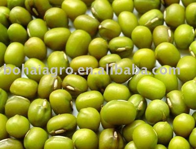 green mung beans 3.6mm