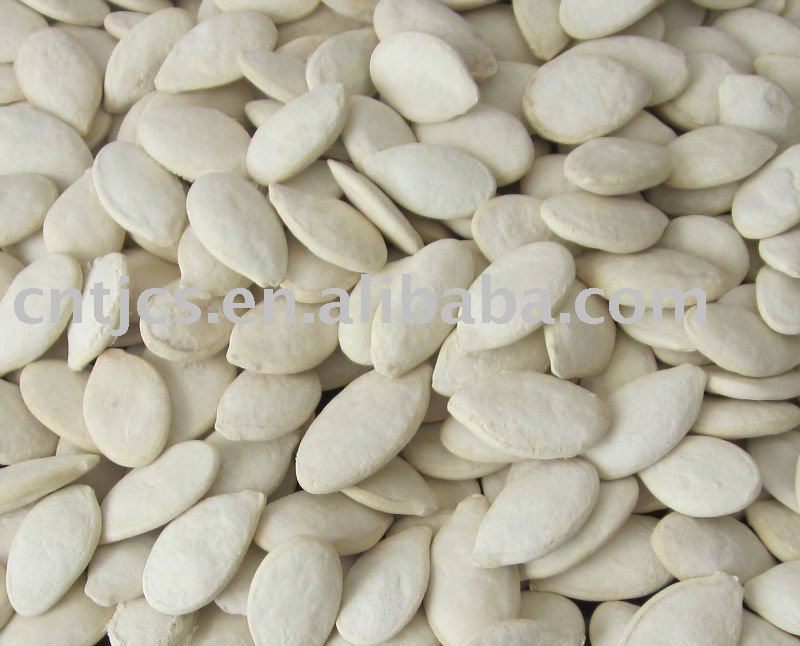 Roasted and Salted  Snow White Pumpkin Seeds 11cm 13cm New Crop2010