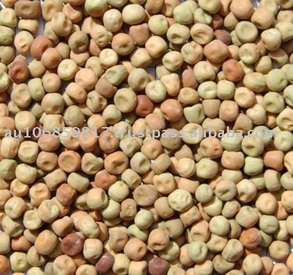 peas field australian dun parafield dried beans bean 21food