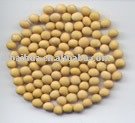 Organic Soybeans