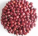 Small Red Beans