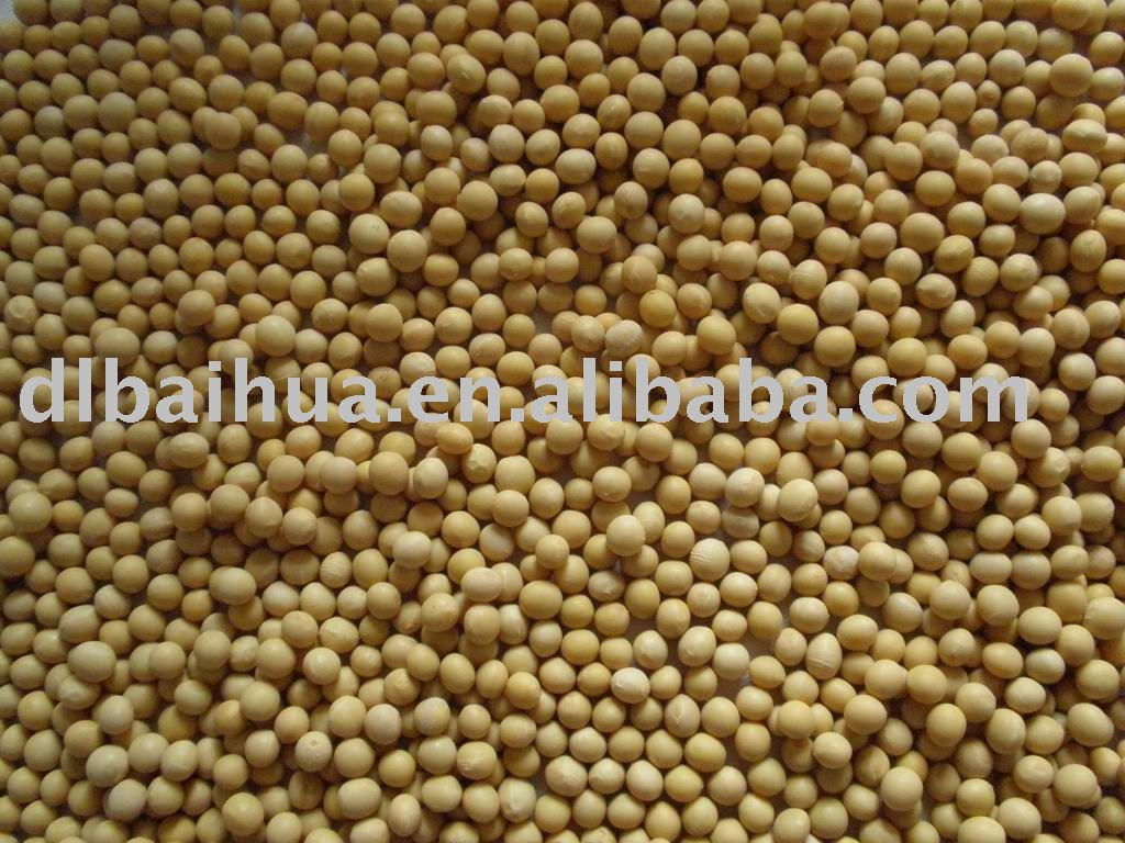 Organic Soybean