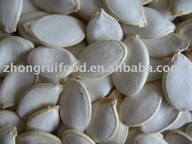 Pumpkin seed