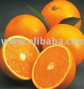 FRESH NAVEL AND VALENCIA ORANGES FOR SALE