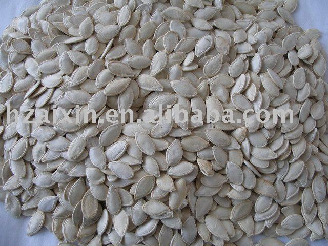 Snow White Pumpkin seeds