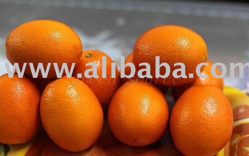 Fresh Navel Orange