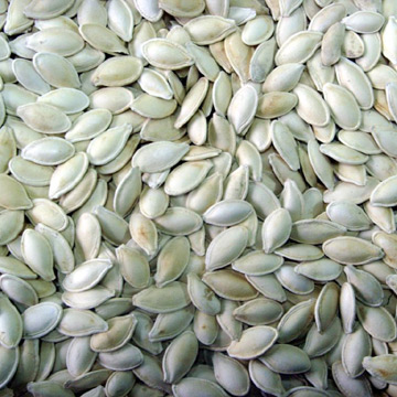 roasted shine skin pumpkin seeds
